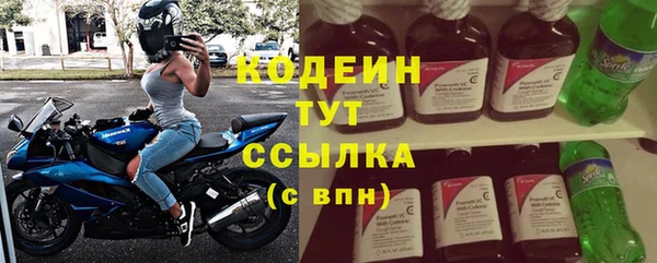 apvp Лагань